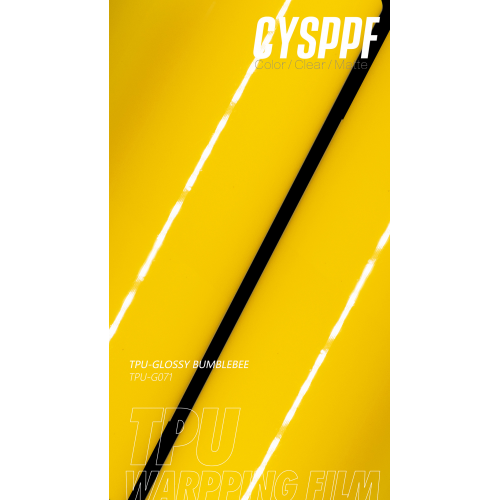 Glossy bumblebee PPF